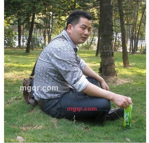 疯狂的马车的第1张照片