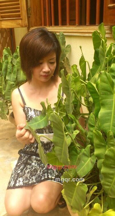 钦本佳人的第1张照片