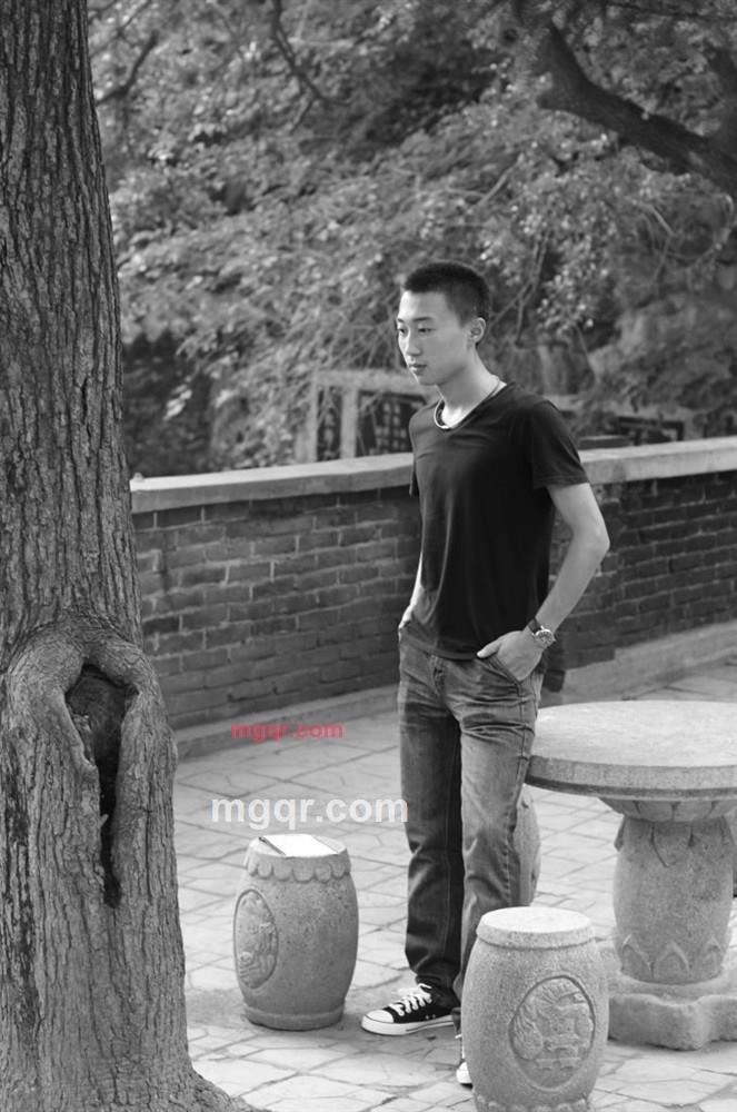 张开翅膀的第2张照片