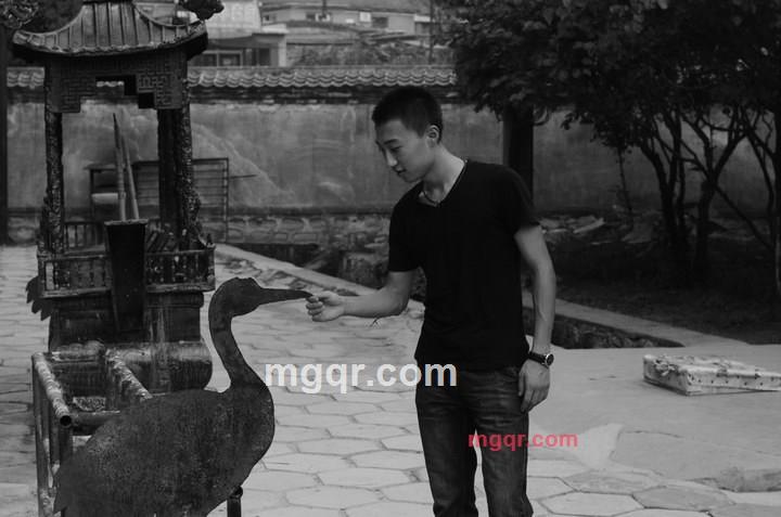 张开翅膀的第1张照片