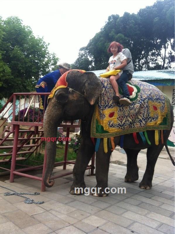 小狐狸1212的第7张照片