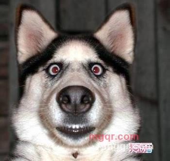 宅男大哥的第1张照片