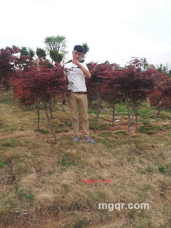 り、﹏x1n默默的第5张照片