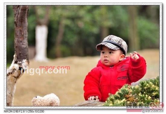 寂寞 沙洲 冷的第1张照片