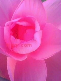 今生无悔啊的第1张照片