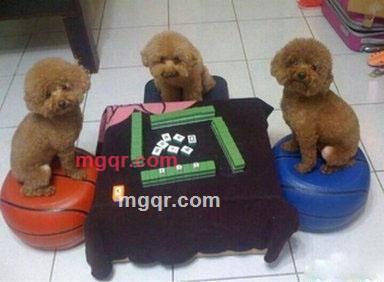 天外-'飞仙的第1张照片