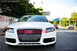 会疼你的的第1张照片