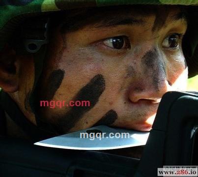 杯情歌的第1张照片