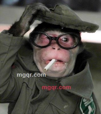 木枯荣的第1张照片