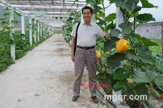 是不是好玩的第2张照片