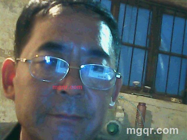 雪狼爱上羊的第1张照片