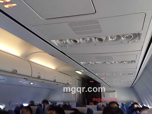 少女情人的第8张照片