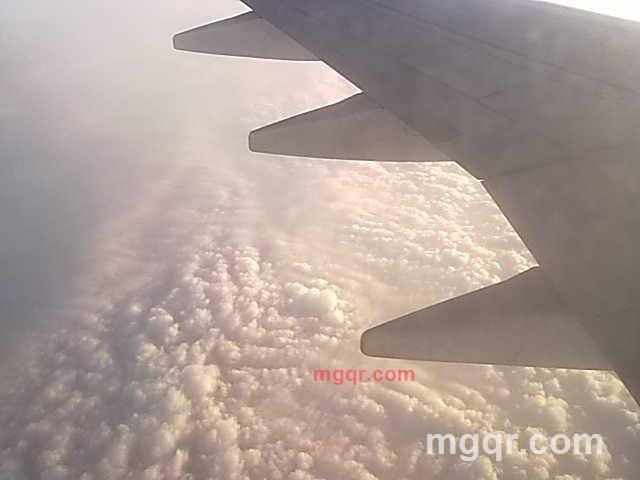 少女情人的第5张照片