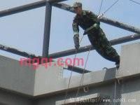 起初的第2张照片