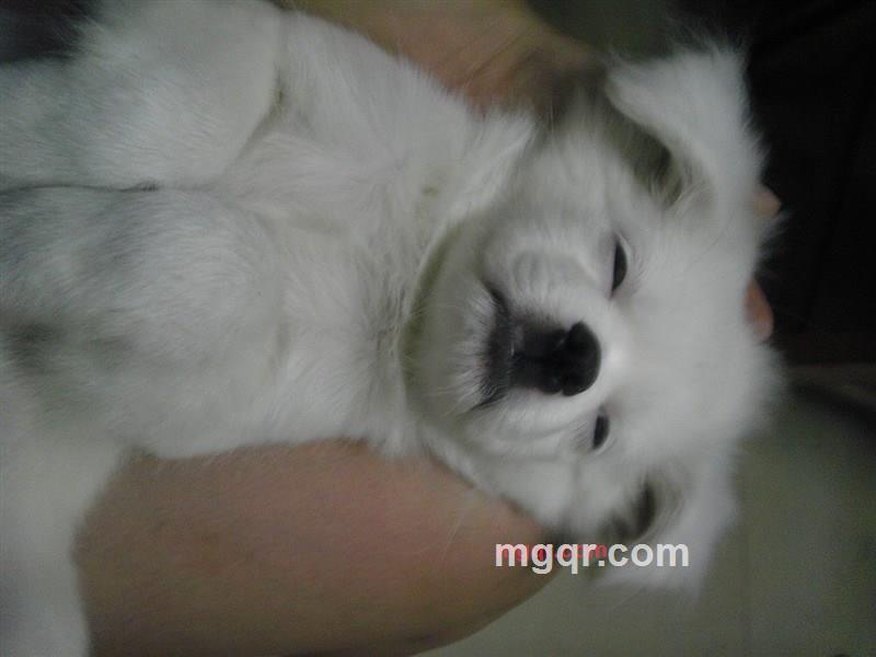 人生处处风景的第3张照片