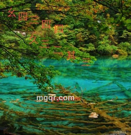 月盈满天下的第1张照片