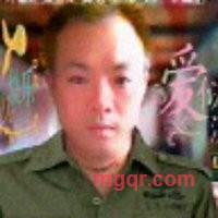 鱼会飞的第2张照片