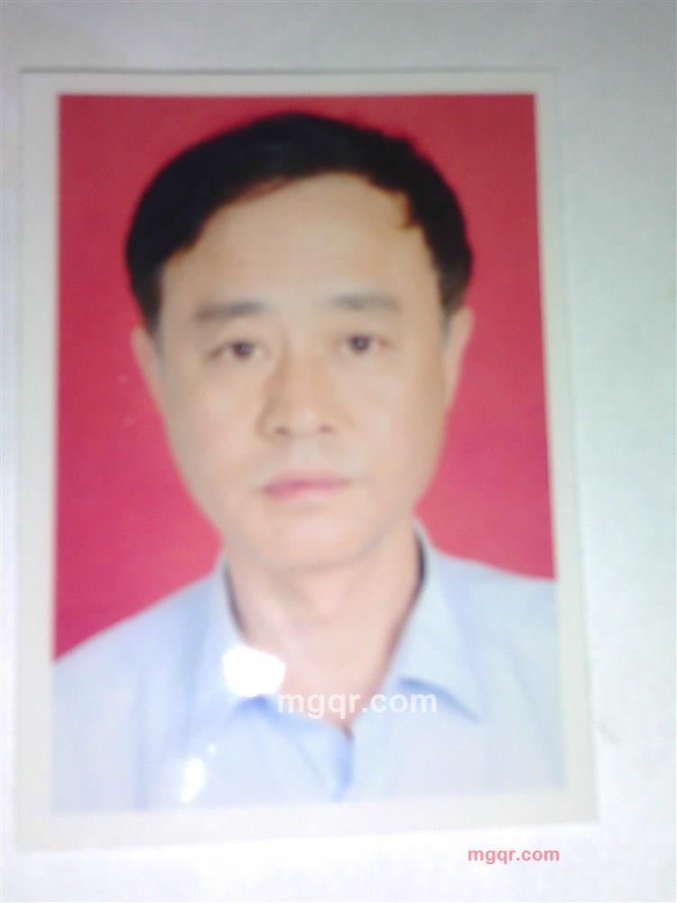 白桦林001的第1张照片