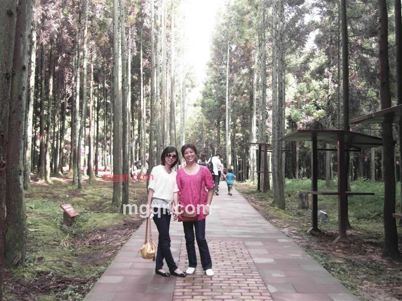 如梦的第3张照片