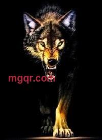 风流万户侯的第1张照片