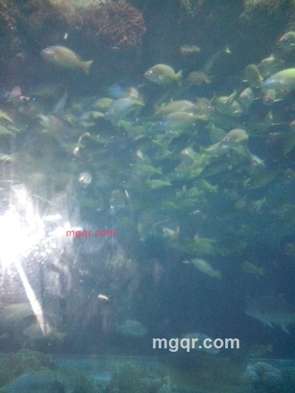 小涛子321的第13张照片