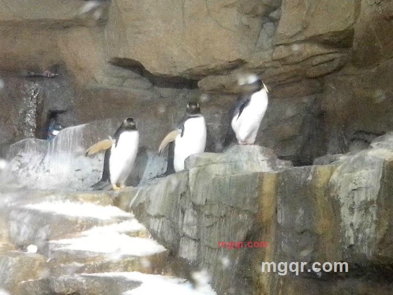 小涛子321的第14张照片