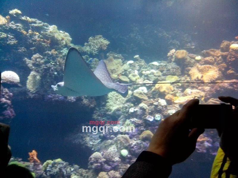 小涛子321的第11张照片