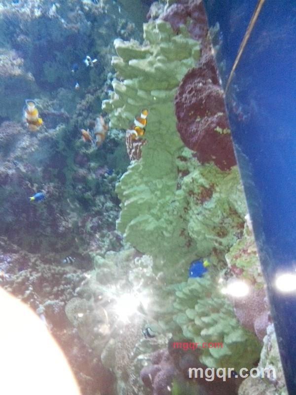 小涛子321的第9张照片