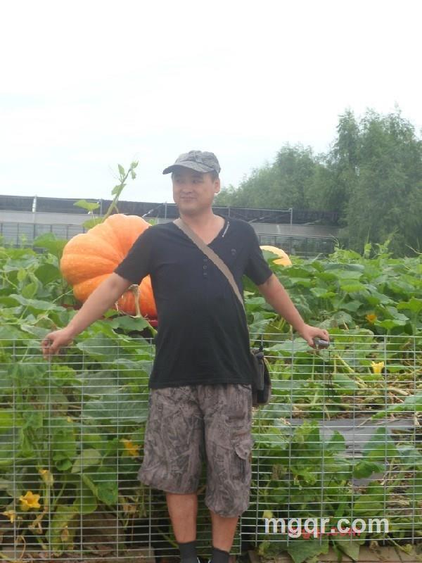 無妻徙鉶,盼洧妻的第1张照片