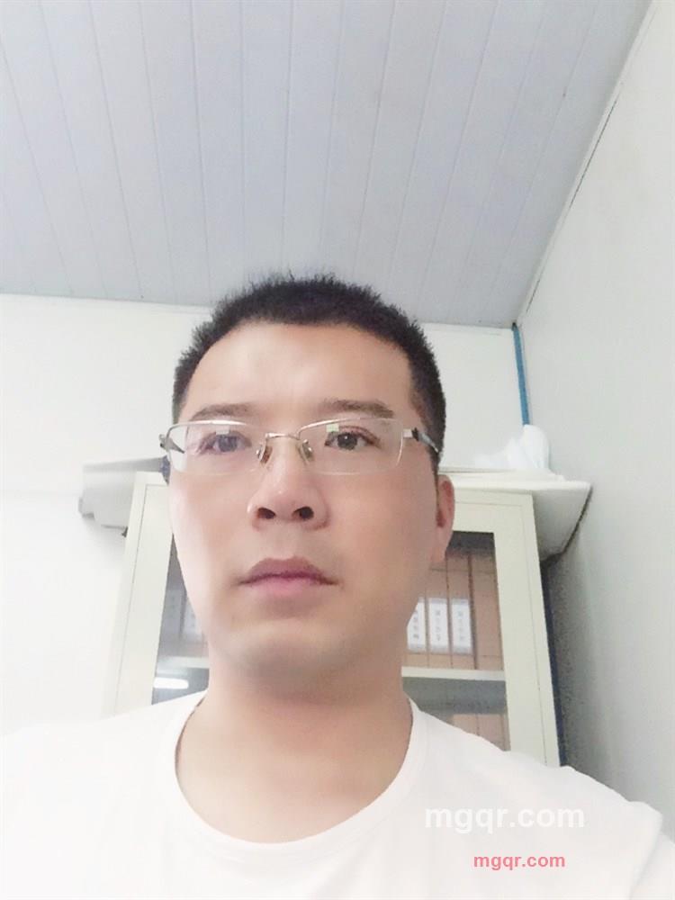 阳光下的水牛的第1张照片