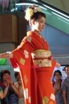 金尾蓝狐的第11张照片