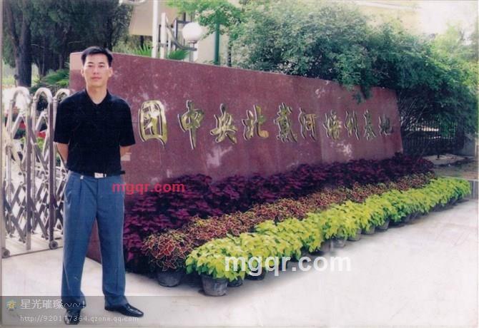 孤心难觅的第4张照片