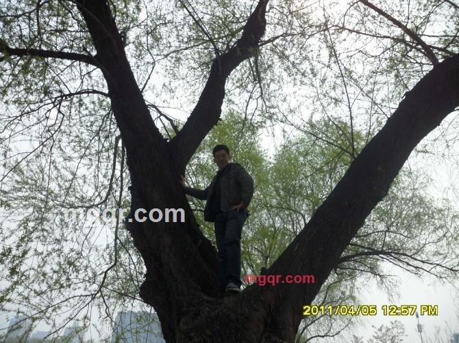 狼财的第1张照片