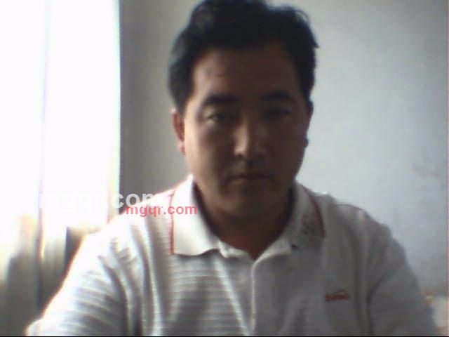 雪狼的第1张照片