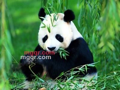 初经人事事的第2张照片