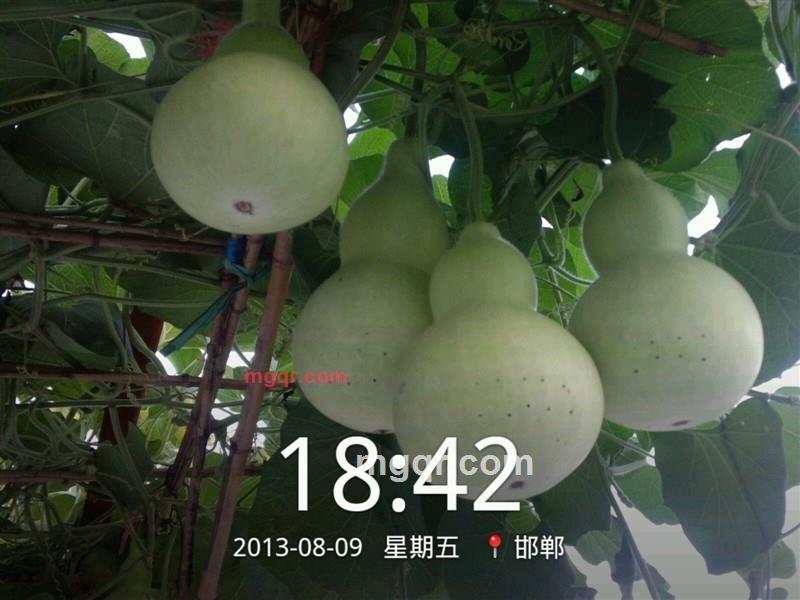 月飞的第6张照片