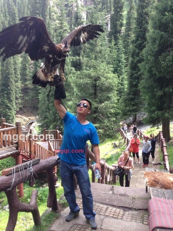 残梦...的第1张照片