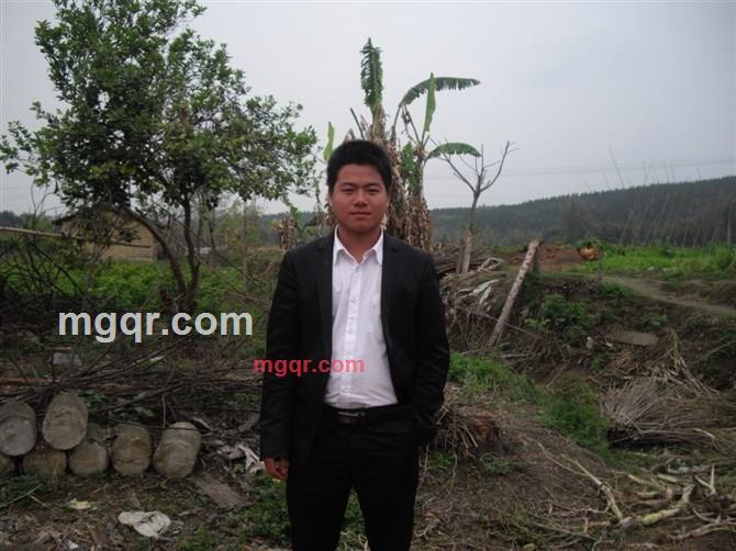 龙的的第1张照片