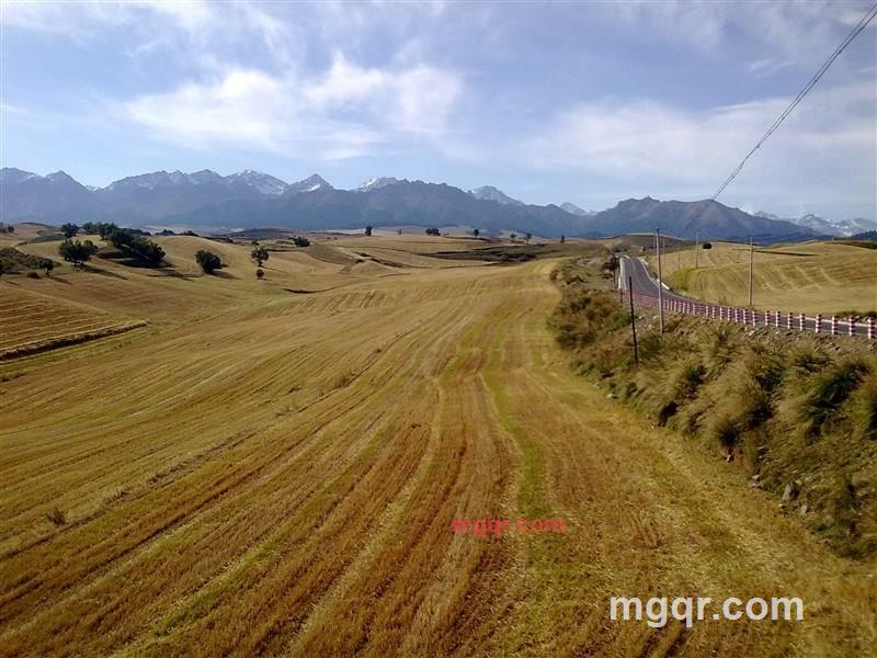 西域独郎的第6张照片