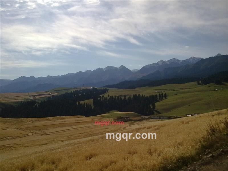 西域独郎的第2张照片