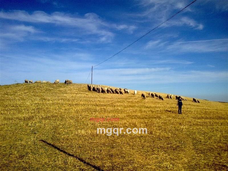 西域独郎的第5张照片