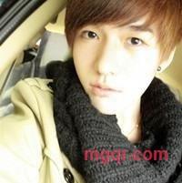 浪子膏的第1张照片