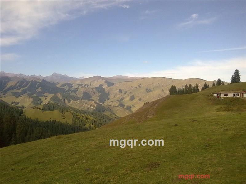 西域独郎的第1张照片