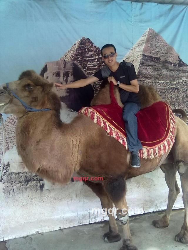 W子夜的第2张照片