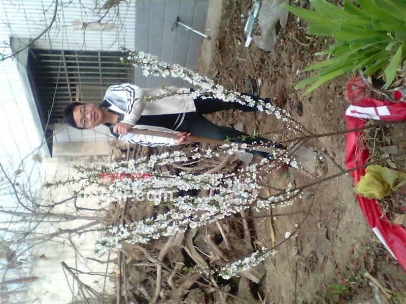 正者无敌的第1张照片