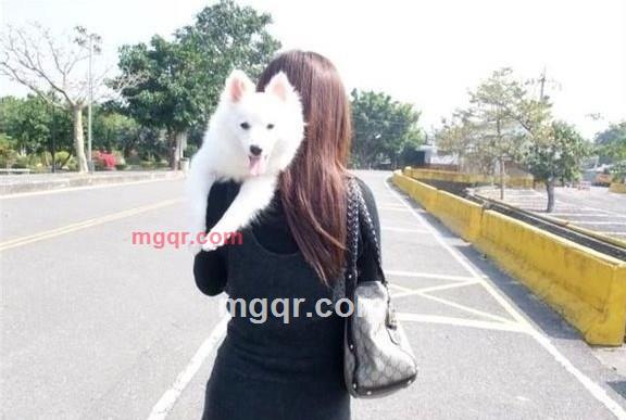 **末了情的第1张照片