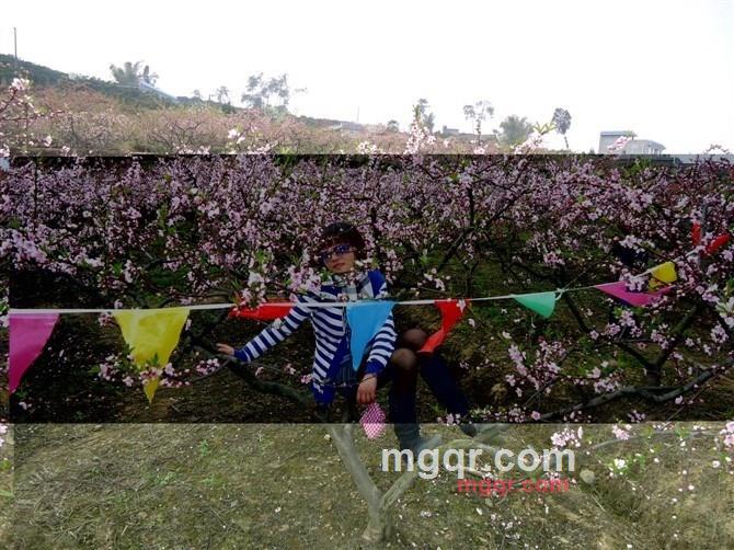 ☆╯霞霞P-X╰☆ 的第1张照片