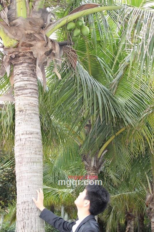 风流小帅183CLass的第10张照片