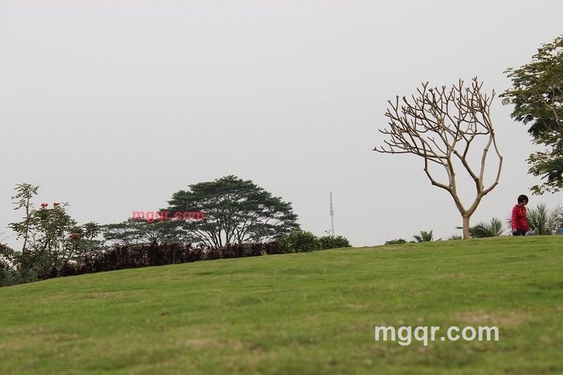 风流小帅183CLass的第4张照片