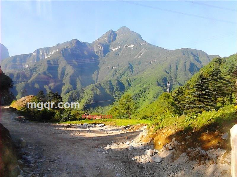  张 `少爷`的第8张照片